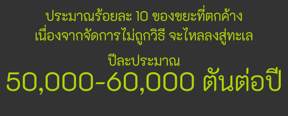              10                                                                     50,000-60,000         