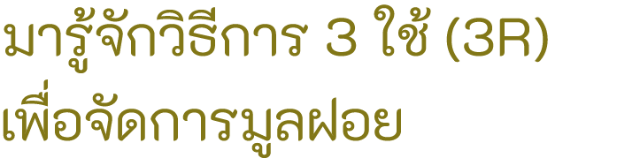                 3     (3R)                  