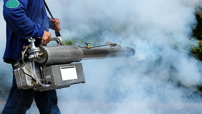 Man Fogging to prevent spread of dengue fever in thailand