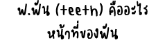       (teeth)                      