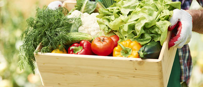 Close up of box with vegetables in hands of mature man 