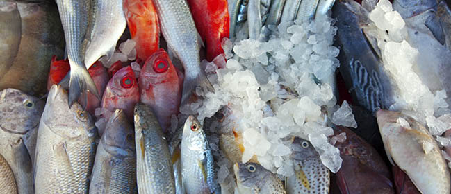 Raw fish on market counter